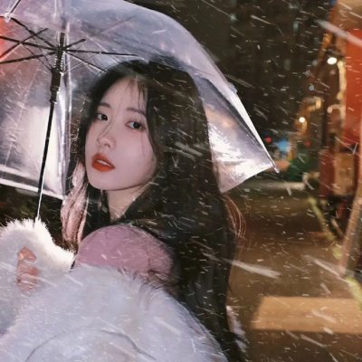 月季花开